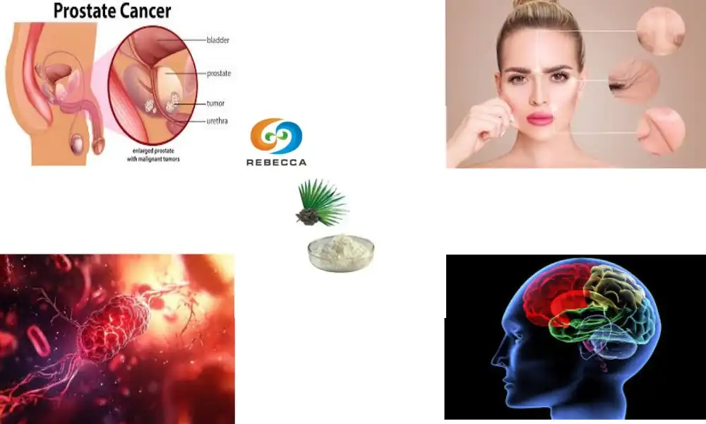 Organic Saw Palmetto Extract: Natural Hormonal Support